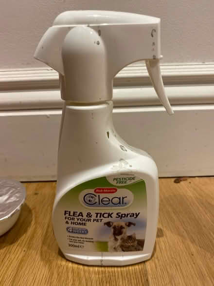 Photo of free Cat bits - food, flea spray (N227by) #4