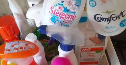 Photo of free Cleaning products (Heartsease NR7) #1