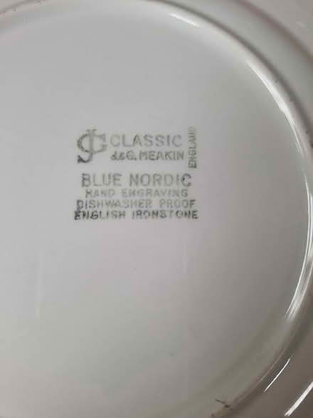Photo of free 2x Blue Nordic 10" plates (Bedhampton PO9) #3