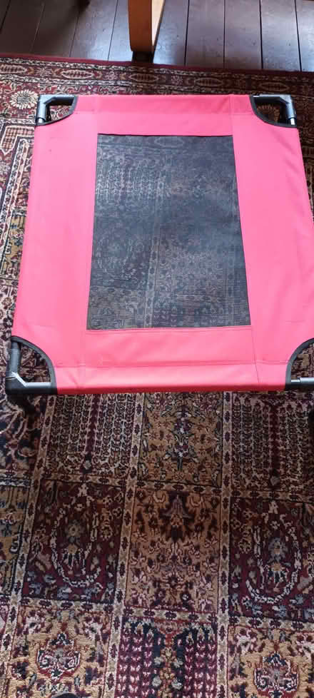 Photo of free Raised dog bed (Chapel Allerton LS7) #2