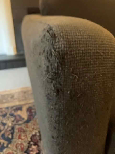 Photo of free Ikea Armchair (Oxford-Freegle CGA OX4) #2