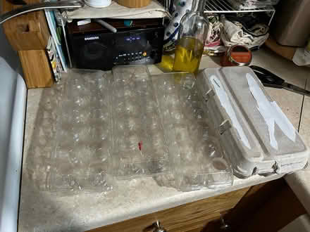 Photo of free Egg carts (Broadmoor) #1
