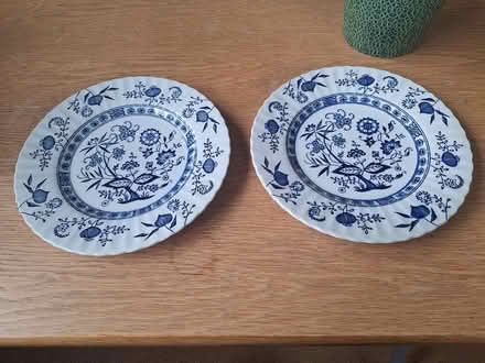 Photo of free 2x Blue Nordic 10" plates (Bedhampton PO9) #1