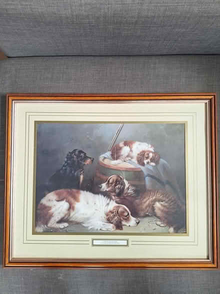 Photo of free 'Waiting for Master' - print (Bedhampton PO9) #1