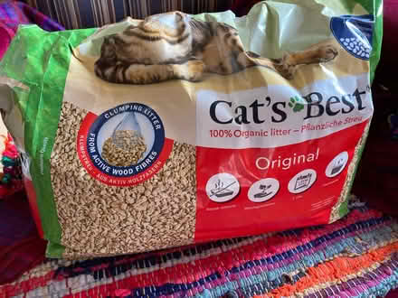 Photo of free kitty litter organic wood pellets (Glastonbury BA6) #1