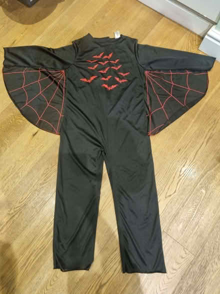 Photo of free Halloween Bat outfit age 9-10 (Arborfield Garrison RG2) #1