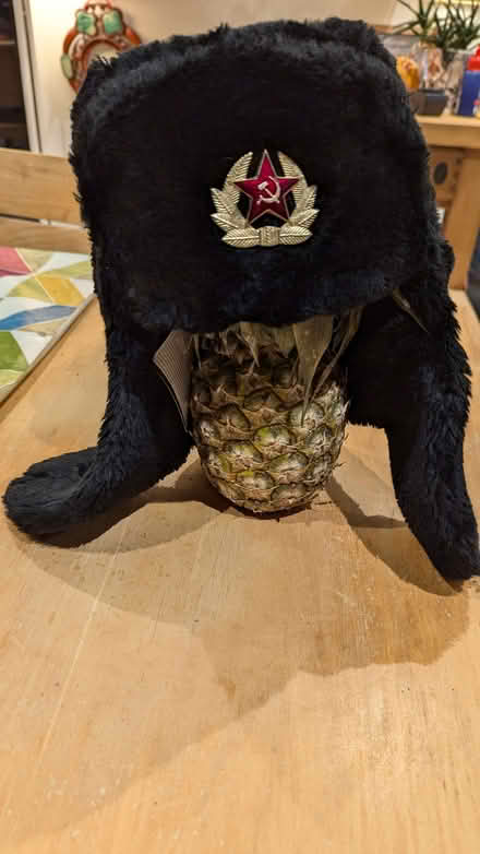Photo of free Soviet style furry hat (child size) (New Marston OX3) #1
