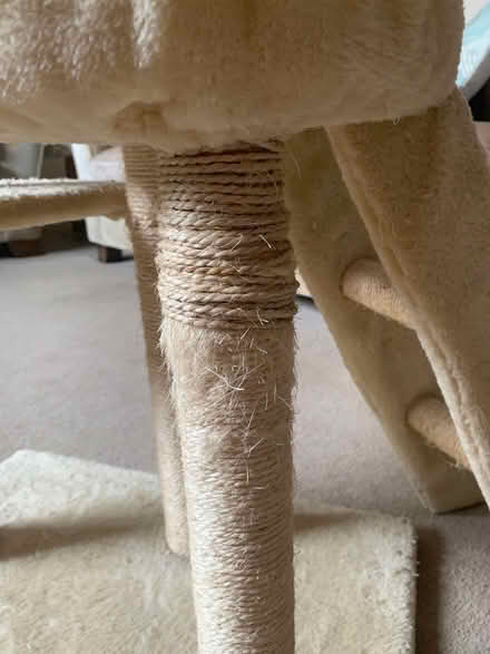 Photo of free Tall cat scratching post (New Haw, KT15) #3