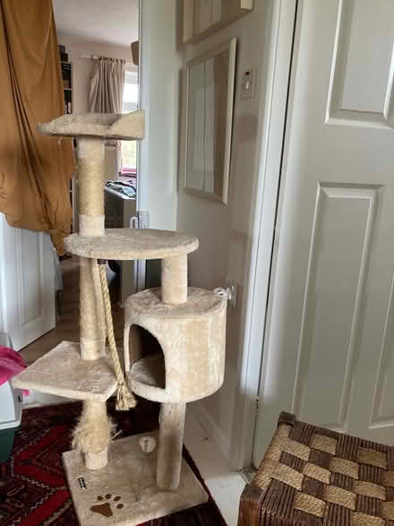 Photo of free Cat tree (Glastonbury BA6) #1