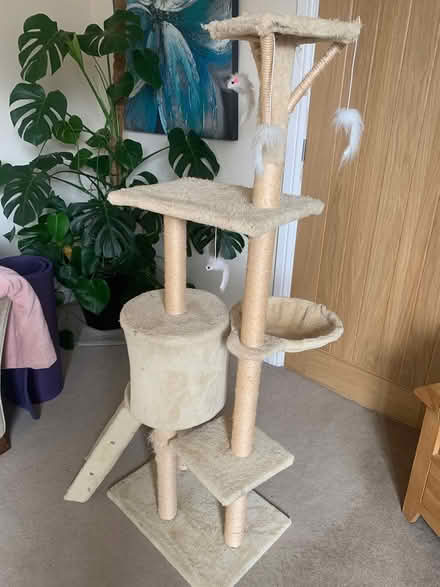Photo of free Tall cat scratching post (New Haw, KT15) #2