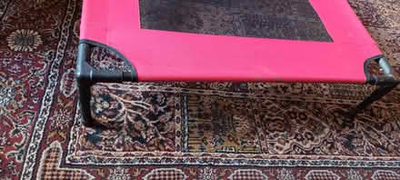Photo of free Raised dog bed (Chapel Allerton LS7) #1