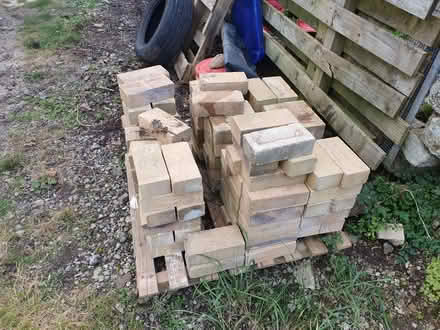 Photo of free Approximately 80 buff bricks (Blennerhasset CA7) #1
