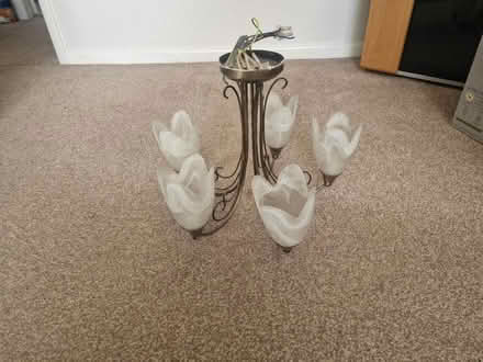 Photo of free Ceiling Light (Cherry Willingham) #1