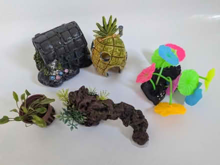 Photo of free Fish tank accessories (Stenson Fields, Derby) #1