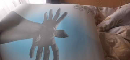 Photo of free Poster from all rise festival (Finchley N2) #1