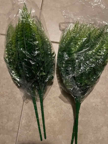 Photo of free Fake fern like plants (Mount Vernon) #1
