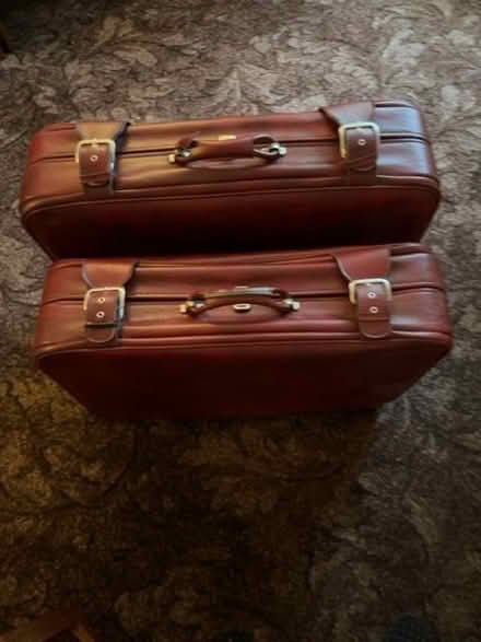 Photo of free Leather Suitcases (IP5) #1