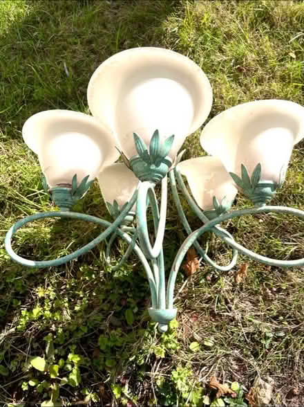 Photo of free Lamp shade (Trull) #1