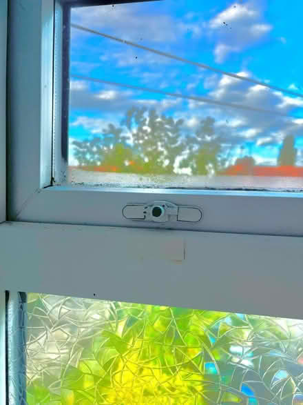 Photo of Upvc window handle (Parkgate CH64) #2