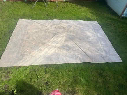 Photo of free Large Next rug 290x200cm (Sundridge TN14) #1