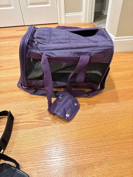 Photo of free Small pet carrying bag (purple) (Lexington 02420) #1