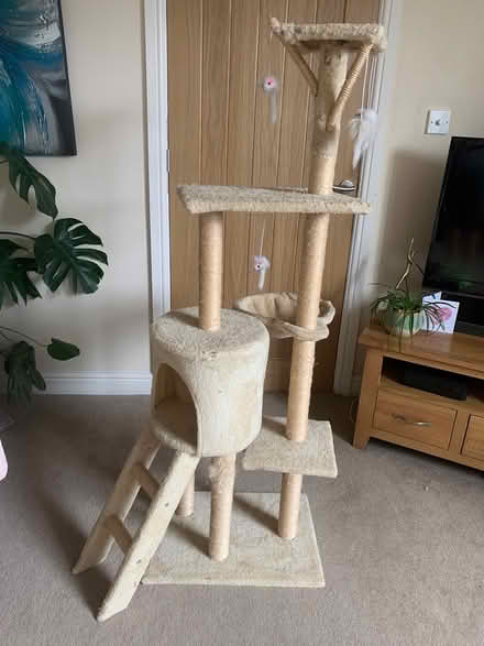 Photo of free Tall cat scratching post (New Haw, KT15) #1