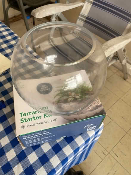 Photo of free Terrarium starter kit (Horndean) #1