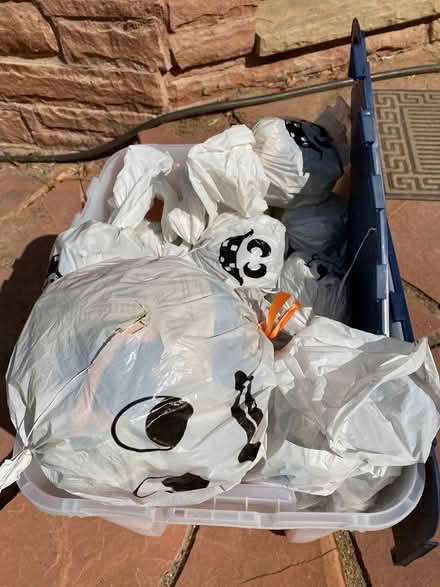 Photo of free Halloween ghosts to hang outside (southeast Denver) #1