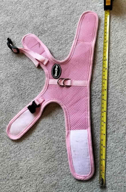 Photo of free 2 small dog harnesses (Kelham Island S3) #3