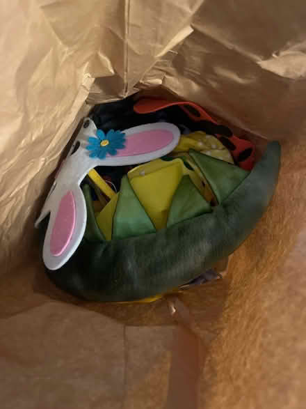 Photo of free Fancy dress stuff for kids (Meersbrook, S8) #1