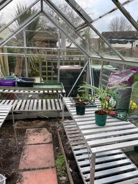 Photo of free Greenhouse Staging (Mudeford BH23) #1