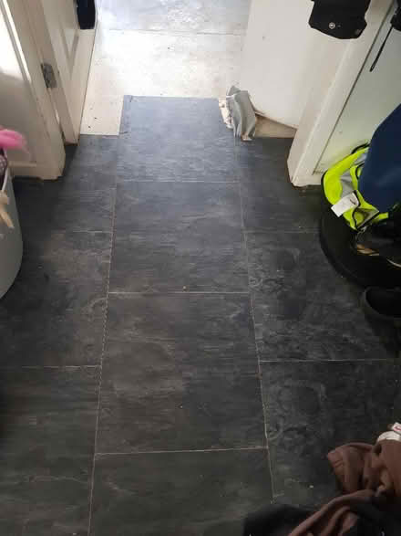 Photo of free Load of flooring (Stevenage SG2) #1