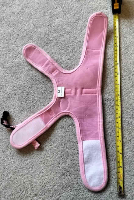 Photo of free 2 small dog harnesses (Kelham Island S3) #2