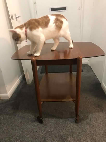 Photo of free Small extendable table (Sutton SM1) #4