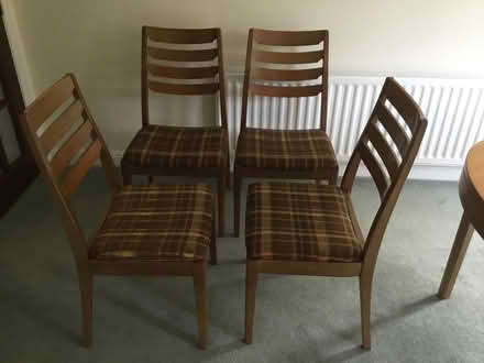 Photo of free Four Dining Chairs (Twyford OX17) #1