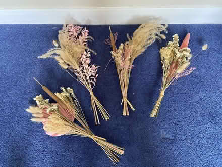 Photo of free Table decorations (Buggs Bottom RG4) #2