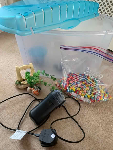 Photo of free Goldfish tank starter kit (Tolworth KT6) #1
