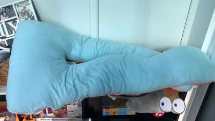 Photo of free Pregnancy pillow (Orpington BR6) #1