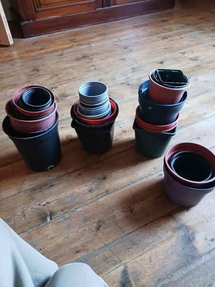 Photo of free Plant pots (Clapham North London) #2