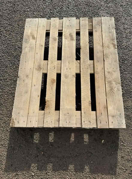 Photo of free Wooden Pallet (Taverham NR8) #1