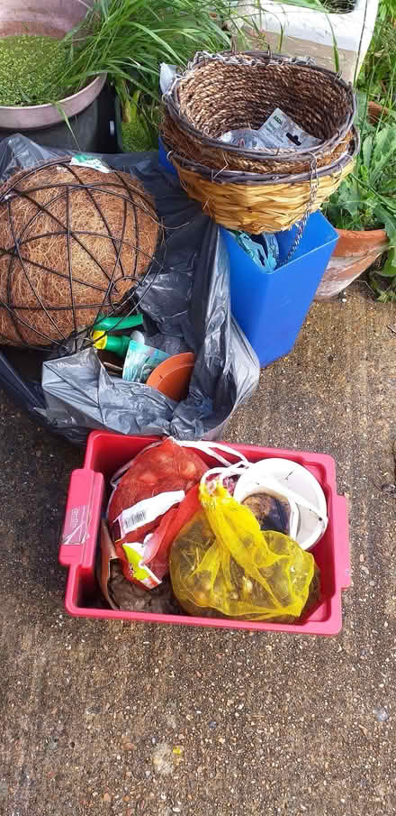 Photo of free gardening tools, hang baskets, bulbs (go one item (Seaside BN22) #1