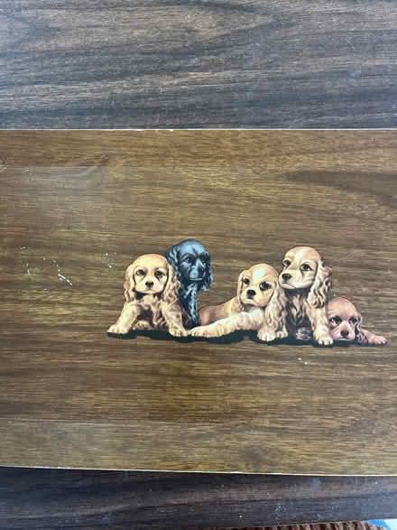Photo of free Four faux wood trays w (Mississauga (East Credit)) #3