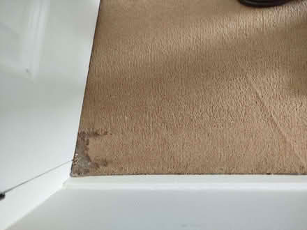 Photo of free Bedroom Carpet (Crystal Palace SE19) #3