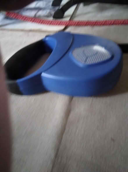 Photo of free Extendeding dog lead (HP2 heme Hempstead) #1