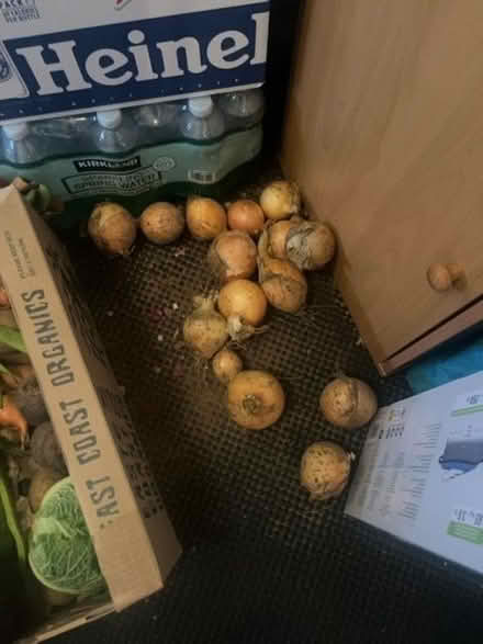 Photo of free Onions (Alnwickhill EH16) #1