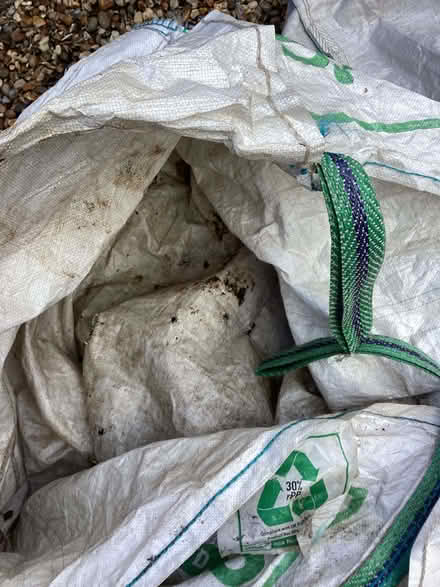 Photo of free four garden waste bags (Brooke NR15) #4