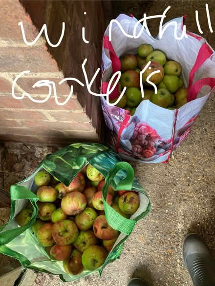 Photo of free Apples! (Eastbourne BN20) #3