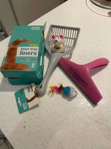 Photo of free Misc cat stuff (New Malden KT3) #1