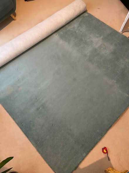 Photo of free Used Carpet (Ovingham NE42) #2