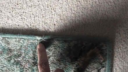 Photo of free Mat for hallway (St Albans AL4) #2